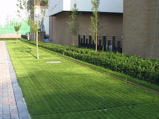 別墅區(qū)停車位植草格效果