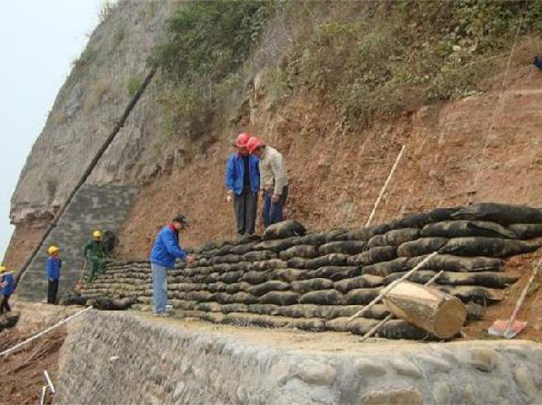 成都排水板|成都生態(tài)袋|成都植草格